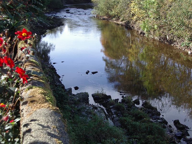 River Teviot View 069